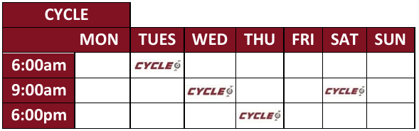 Cycle timetable