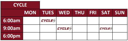 Cycle timetable