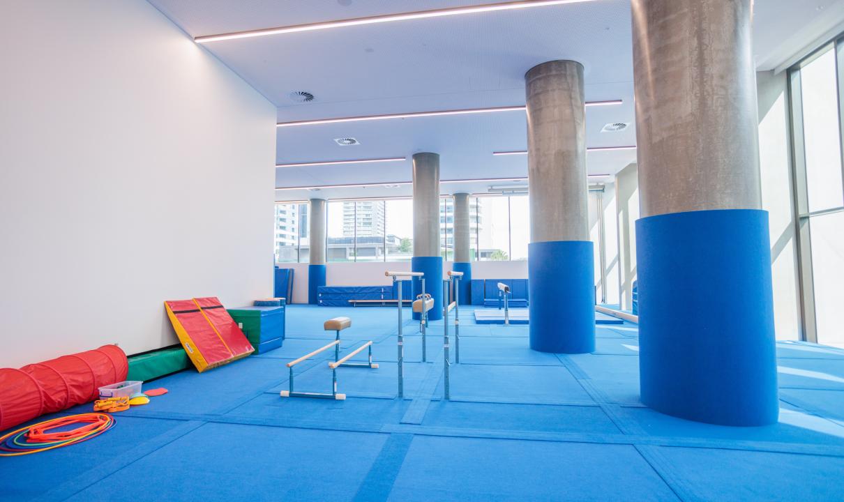 Rhodes Recreation Centre PGymnastics